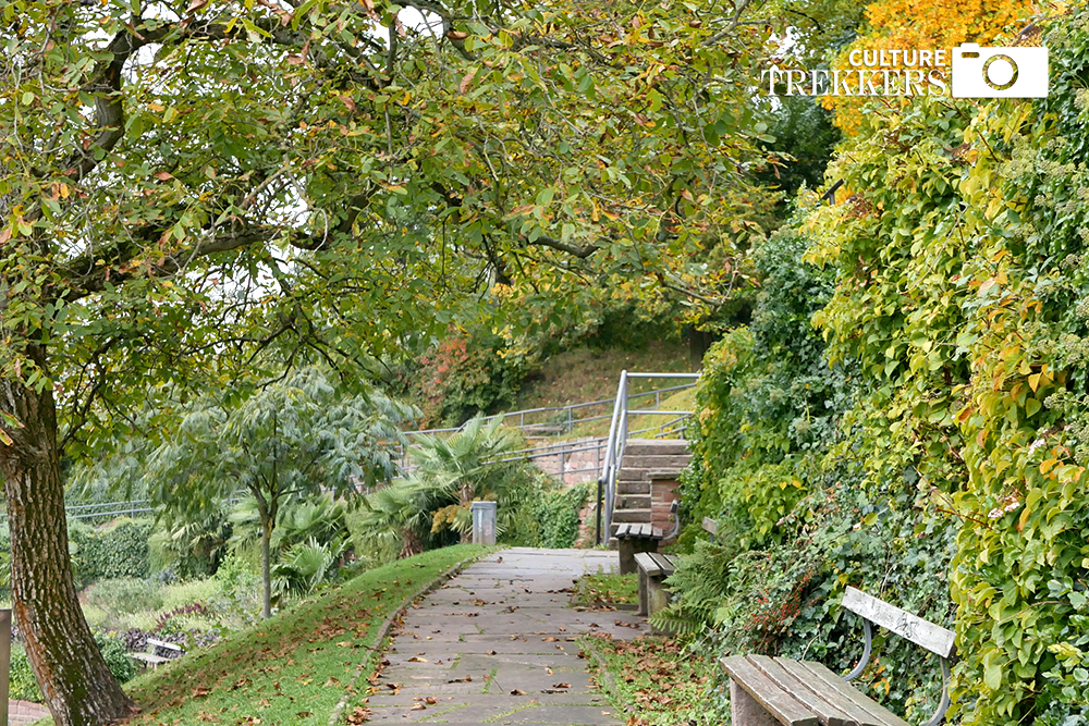 I Lost My Heart in Heidelberg | Heidelberg Travels