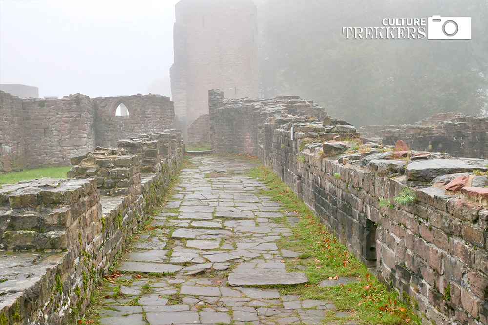 I Lost My Heart in Heidelberg | Heidelberg Travels